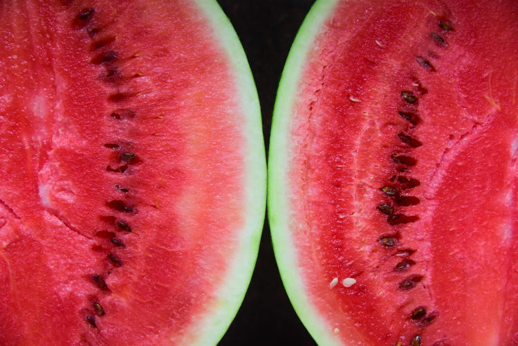 Zwei Wassermelonen als Sinnbild für die deutliche Zunahme der Brüste beim Milcheinschuss