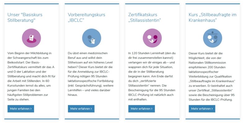 Screenshot von elearning-stillberatung.de zu den verschiedenen Kursmöglichkeiten